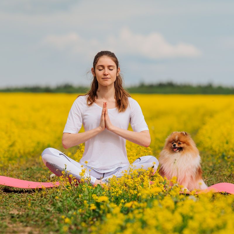 young-woman-sits-in-lotus-position-in-a-field-of-y-2021-09-04-10-47-20-utc (1)