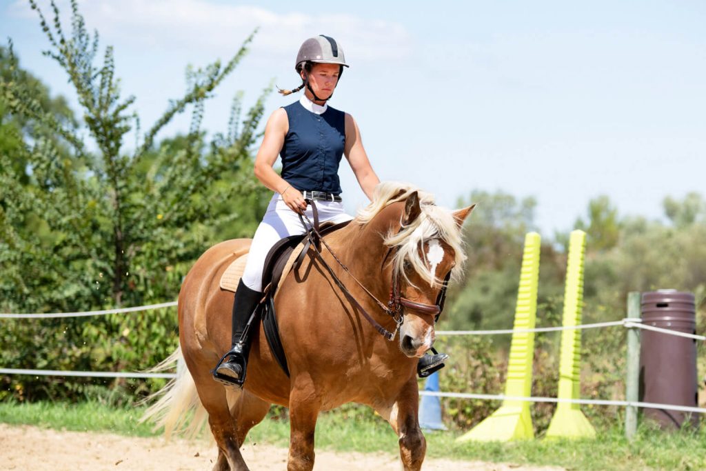 Riding the horse