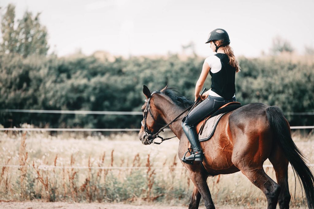 Get a horse