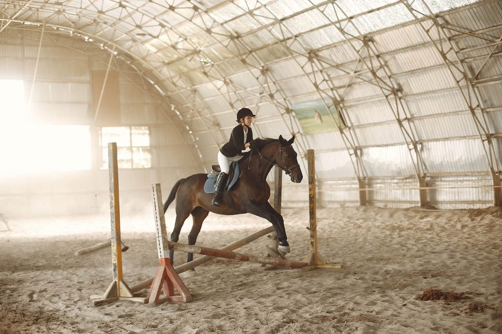 Horse to ride