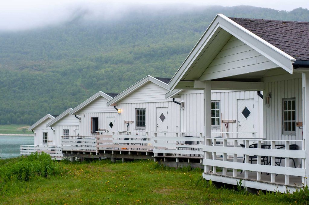 Growing brighter futures