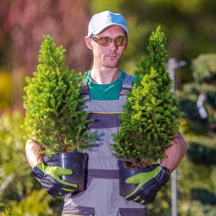 gardener-shopping-time-2021-08-26-23-04-22-utc (1)