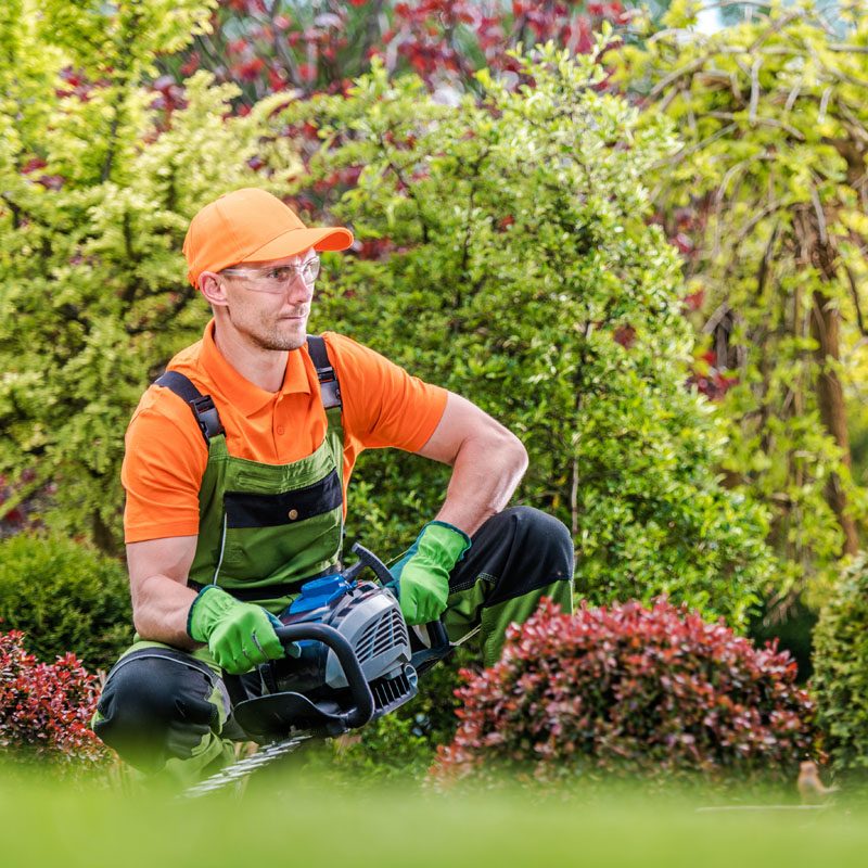 satisfied-gardener-in-a-garden-2021-08-26-23-04-56-utc (4)