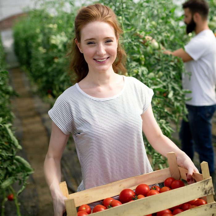 young-smiling-agriculture-woman-worker-working-ha-2021-08-26-17-35-16-utc (1)