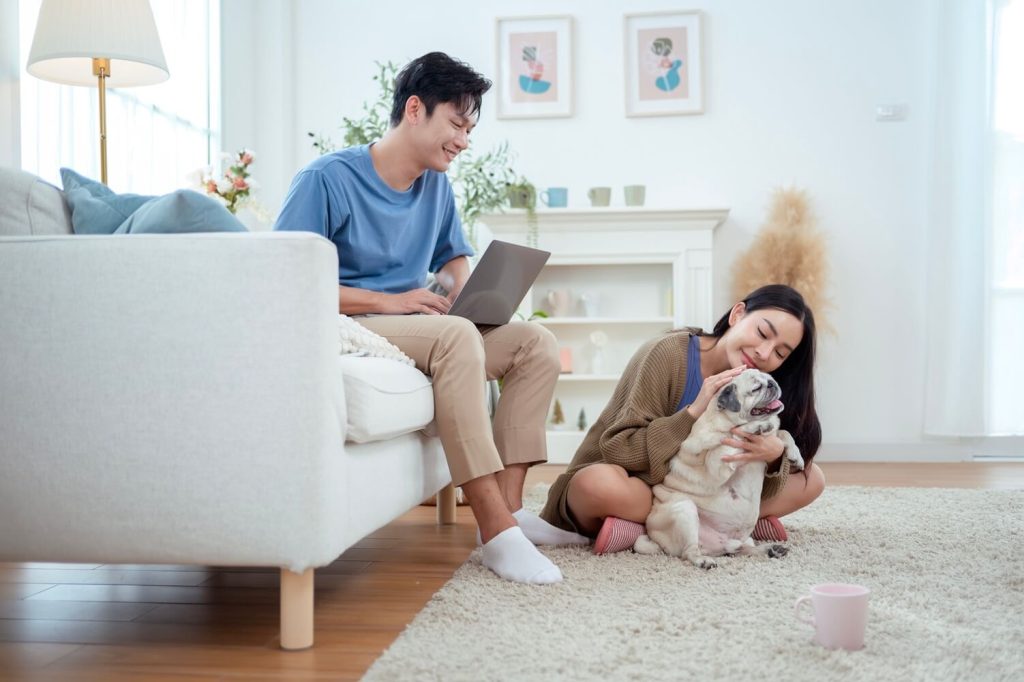 5 Signs Your Pet Needs Extra Care and Attention