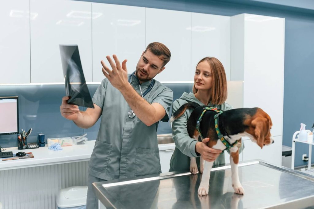 Common Pet Health Problems and How to Prevent Them