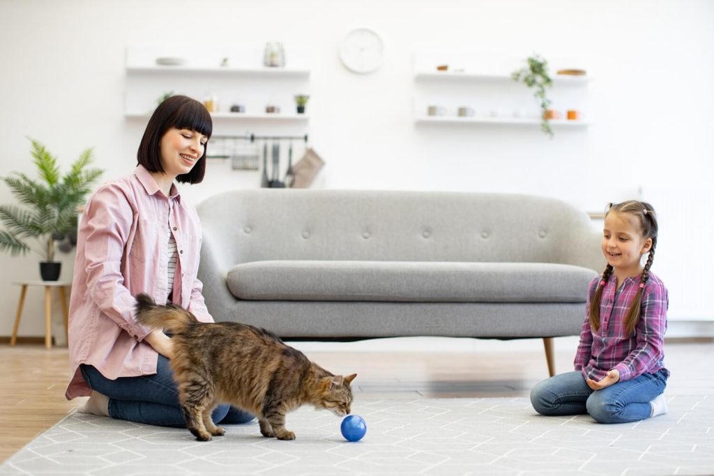 Top 5 Pet Care Tips Every Owner Should Know