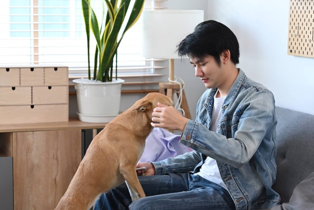 How to Choose the Best Services for Your Furry Friend