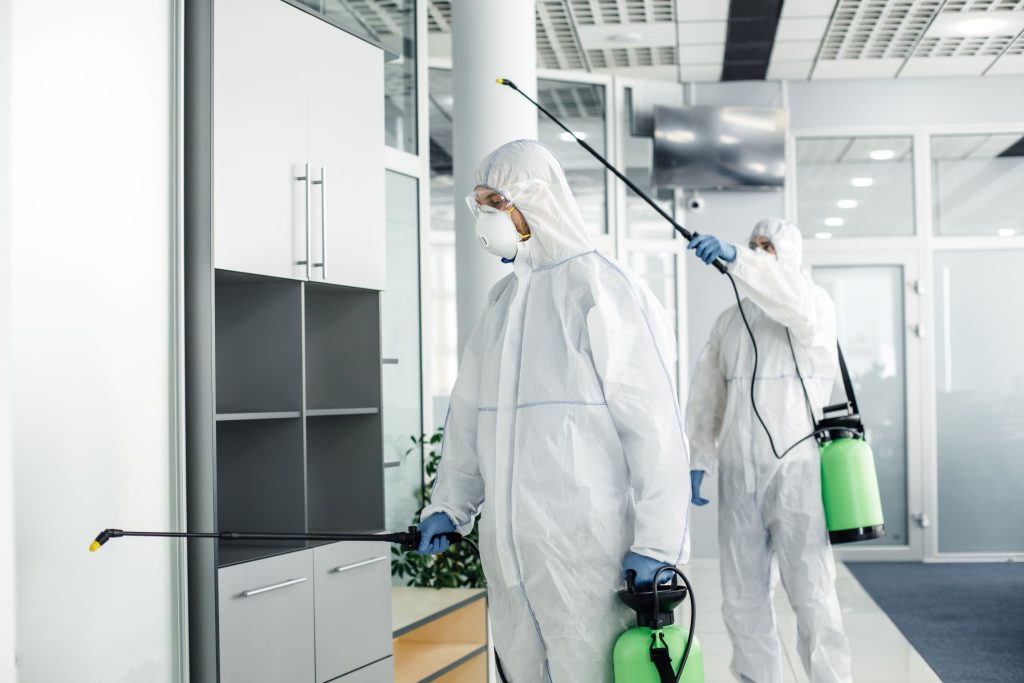 professional-disinfection-of-room-and-furniture-du-2023-11-27-05-17-47-utc