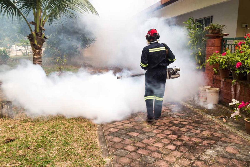 Try poison free pest control