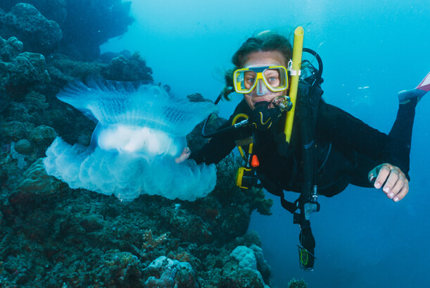 Protecting Our Ocean Reefs