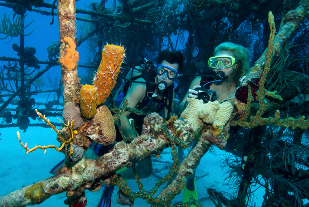 Unveiling the Wonders of Deep